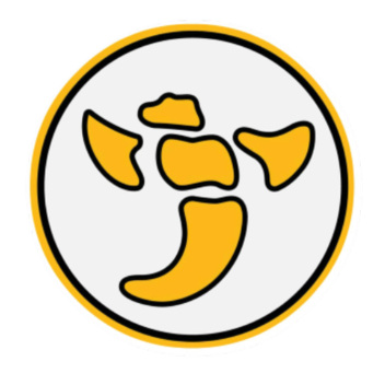 Irmo Yellow Jackets Football Team