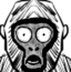 Jayzuwoo
