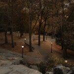 ⋆｡°✩🍂✩°｡⋆