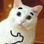 J PRO PLAYER