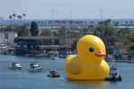 The duckys Studios