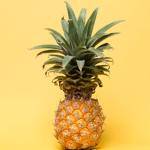 Pineapple squadXX