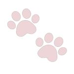 pawmre