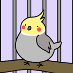 The Bird Community!