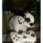THE GAMER_BUNNY'S
