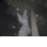 ʟ0ᴠᴇꜱ1ᴄᴋ