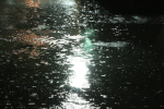 DownwardFall