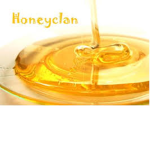 Warriors of HoneyClan