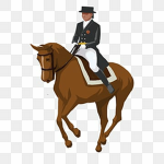 // * sunset riding academy * //