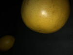 Guardians Of Lemons