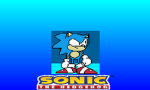 Sega cosplayer's