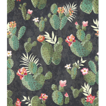 {]Cactus[}