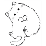 Fluffy cat :3