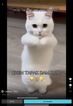 Maitha gamer