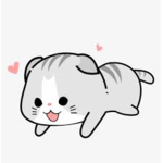Lovely Ofc <3