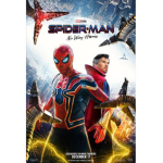 No way home spider man