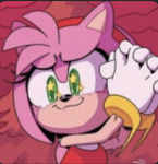 Amy’s amazing fans