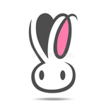 Bunny squad/offers