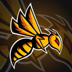Hornets Sports Academy Athletics
