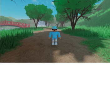 Roblox Showcase