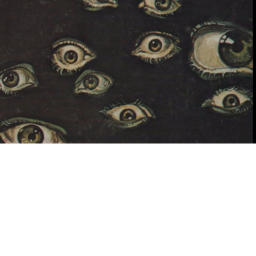 They are watching...