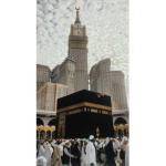 سندس ادخلو