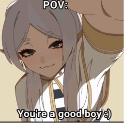 Good Boy Test