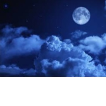 ..blossem..nights