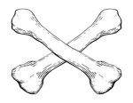 Limitless Theory