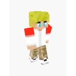 dsmp werido