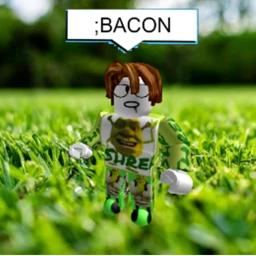 [FREE ADMIN] BACON HAIR icon