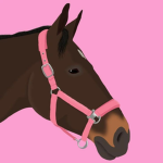 Pink Luxe Riding Academy