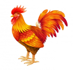 Love Animal