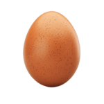 Project Flyin Egg