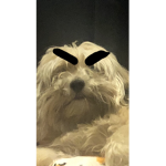 Lily’s character