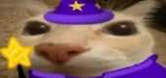 Heimkat