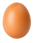 Eggselent