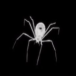Spider十