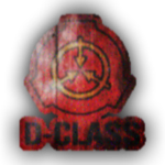 The Class D Nation