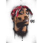 %~SHADOW GANG~%