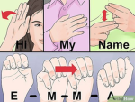 sign language
