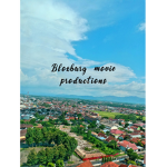 Bloxburg TV productions!