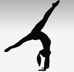 blue whales gymnastic Academy