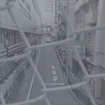 I k i g a i (生きがい)