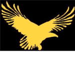 EagleEye Legion
