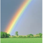 Nya’s rainbow group