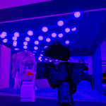 Roblox Twins Fan group!!!