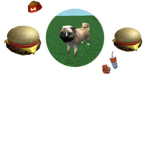 pogger pugs group