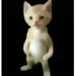 Gatomans