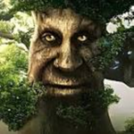 wise mystical tree